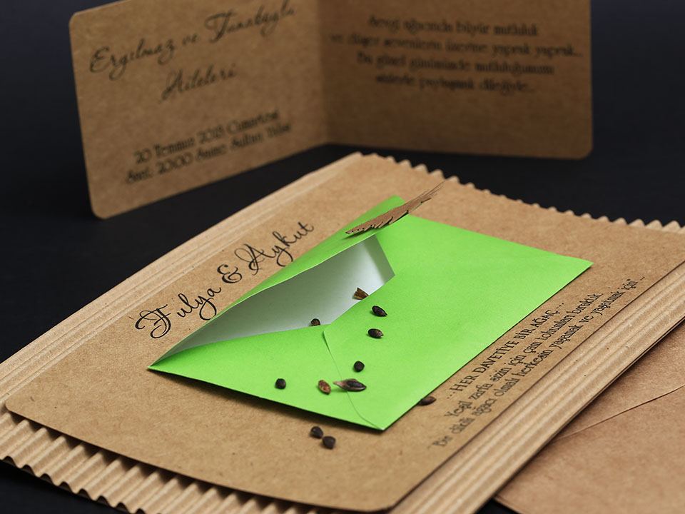 Alyans Davetiye     2009 - 4