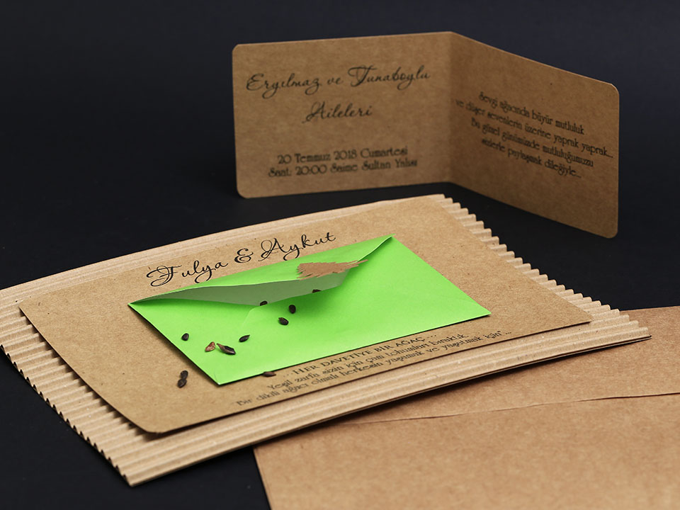 Alyans Davetiye     2009 - 5