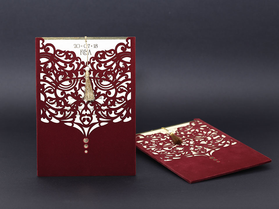 Alyans Davetiye     2010 - 2