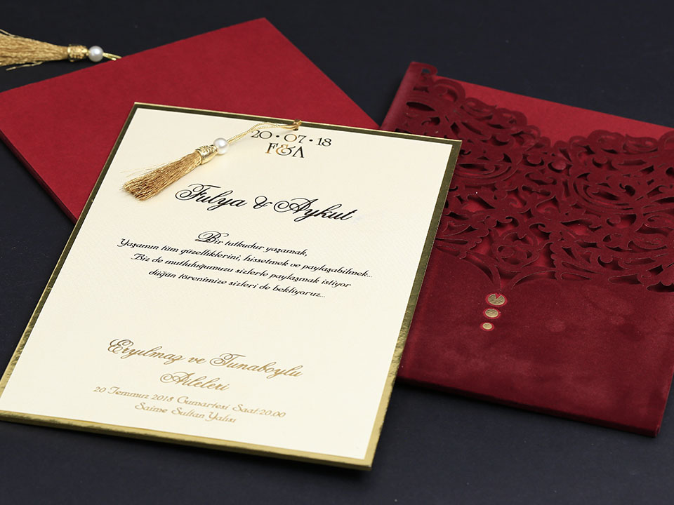 Alyans Davetiye     2010 - 4